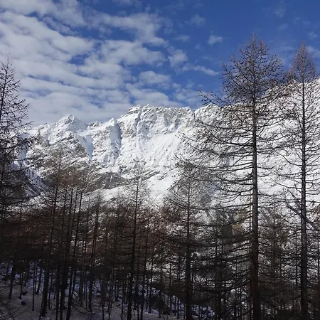Erikzang - Cervinia In Out