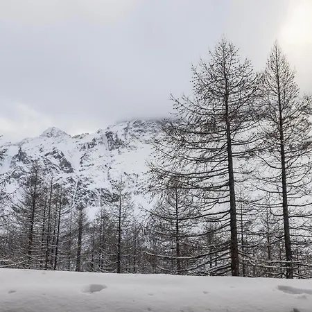 Cervinia In Out - Grande Ourse