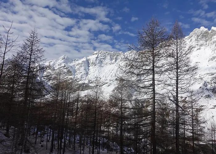 Erikzang - Cervinia In Out