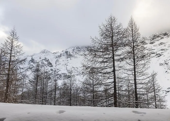Erikzang - Cervinia In Out