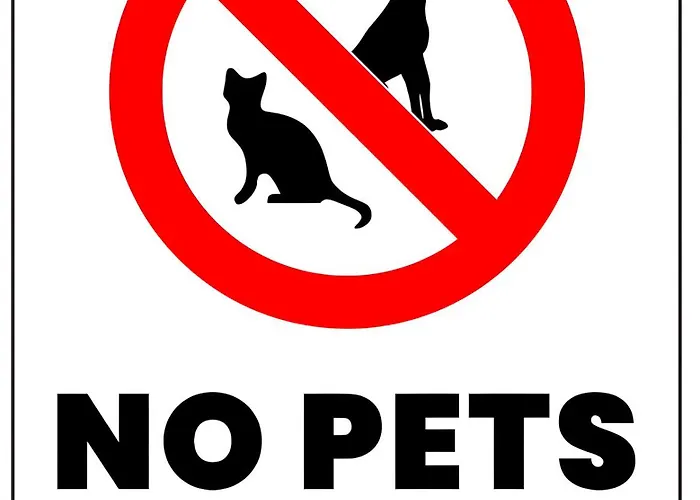 Appartamento Erikzang - Cervinia In Out *